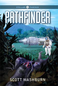 Fires of memory cover